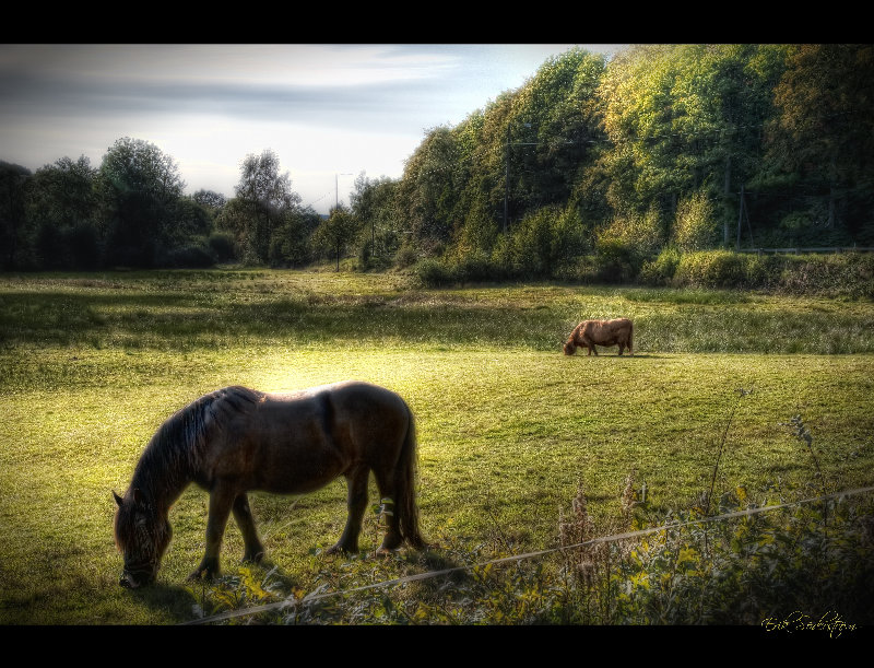 hdr 4K wallpaper by Erik Soderstrom