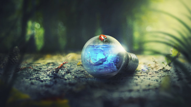 macro 4K wallpaper by peter_pyw
