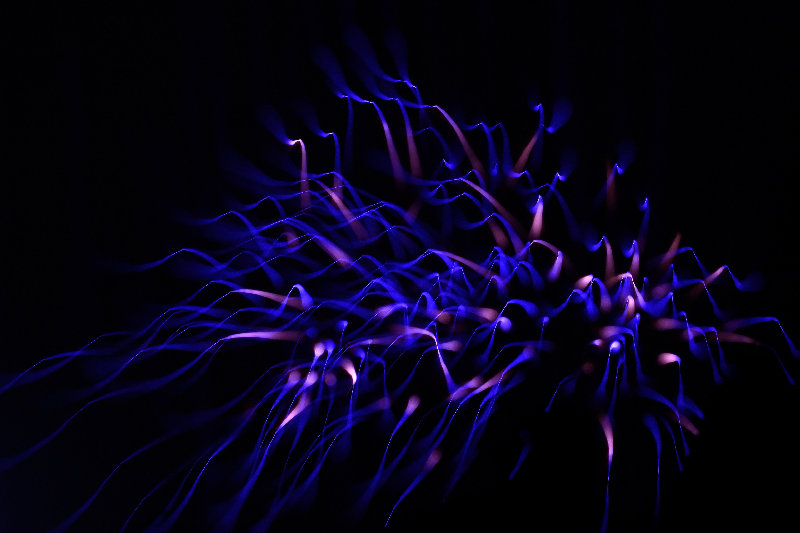 others 4K wallpaper by Benjamin Watson