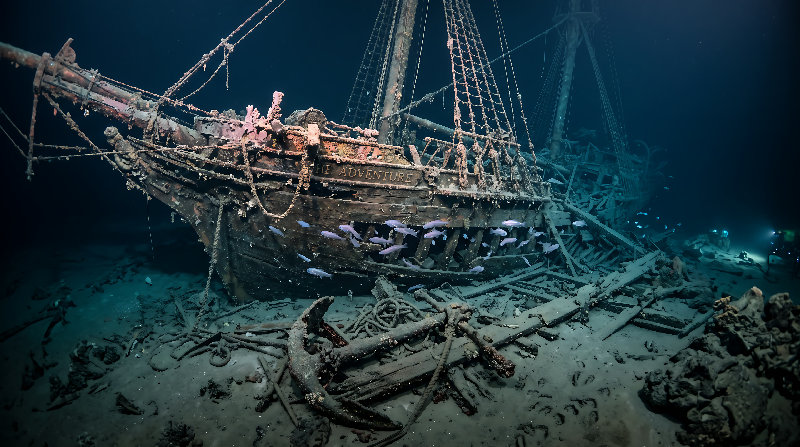 seabed 4K wallpaper by Wallpapers UHD