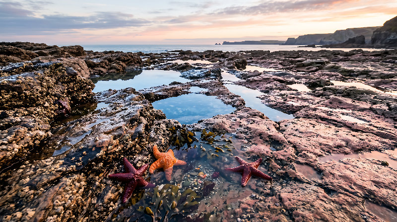 seabed 4K wallpaper by Wallpapers UHD